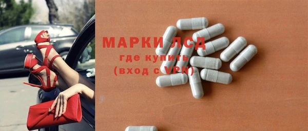 хмурый Арсеньев