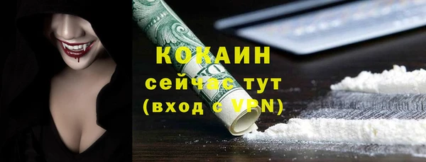 хмурый Арсеньев
